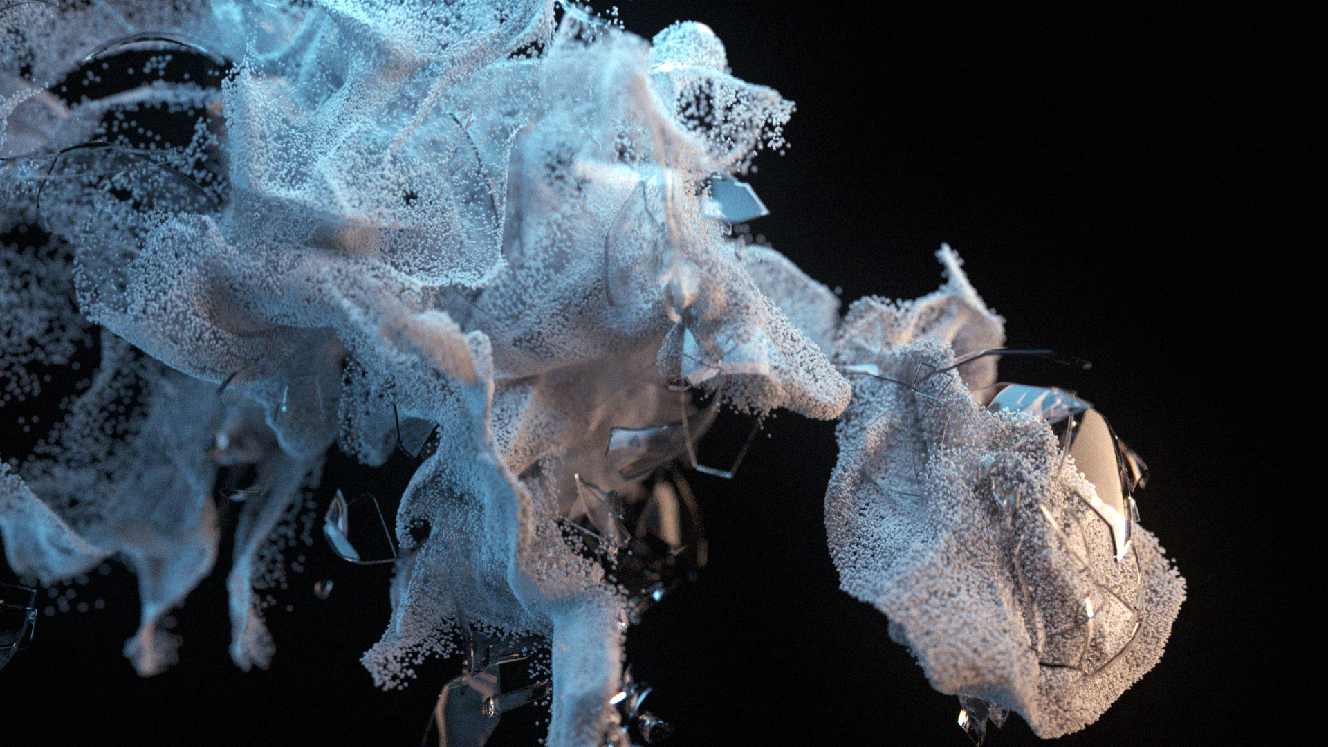 x particles infectio x particles infectio
